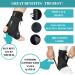MEDIZED Ankle Brace Stabilizer Lace Up Adjustable Support Stirrup Compression for Running Basketball Volleyball Injury Recovery Sprain Ankle Wrap for Men Women and Children (Medium) M (Pack of 1) - Buy Online on GoSupps.com
