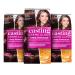 L'Or al Paris Coloration without ammonia and without silicones nourishing intensive tinting with gloss reflex balm casting cr me gloss hair color No. 525 chocolate cherry (brown) 3 pieces no. 525-choco ganach 1 piece (3 Pack)