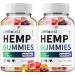 Life Boost Hemp Gummies - with Hemp Seed Extract LifeBoost Hemp Gummies Tinnitus Herbal Supplement Health and Wellness Support All Natural Life Boost Hemp Gummy (2 Pack - 120 Gummies)