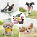 Legend Sandy Squeaking Plush Dog Toy Set - 6 Fillable Toys for Puppies & Small Dogs | Ideal Pet Toys for Small to Medium Breeds - Buy Online on GoSupps.com