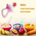 Fruit Teat for Baby & Toddler - BPA-Free Silicone Teats (3 Sizes) | Pacifier Teething Ring for Fruits Veggies & Porridge - Pink - Buy Online on GoSupps.com