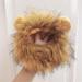 Shop Lion Mane Caps & Costumes - Perfect for Easter Festival Party & Pet Wings - Buy Online on GoSupps.com