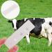 Beaupretty Cow Pregnancy Test Strip - Accurate Sheep & Cattle Pregnancy Detection | Farm Animal Supplies - Buy Online on GoSupps.com