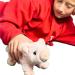 Deluxe Paws Plush Eco Toy 100% Recycled Material - Pig Design - Buy Online on GoSupps.com