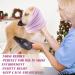 Pattepoint Die Muffs for Dogs | Noise Protection & Comfort | Hooded Sweaters for Small Dogs & Cats | Neck & Ear Warmer Hoodie | Lila Large - Buy Online on GoSupps.com