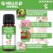 Helloanimal Itching Globules for Dogs & Cats - Skin Relief for Irritation Lice Fleas & Mites | Natural Care with Stream Flowers - Buy Online on GoSupps.com