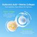 BEUKING Hydrating Hyaluronic Collagen Facial Cleanser Gentle Face Cleanser with Hyaluronic Acid+Centella Asiatica Extract Pore Cleanser Safe Daily Face Wash For Dry Oily Sensitive Skin 1.76 fl oz - Buy Online on GoSupps.com