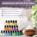 Shop Oukzon Essential Oils - 20x5ml Fragrance Oils for Diffusers | Pure Aromatherapy for Valentine's Day - Lavender Tea Tree & More - Buy Online on GoSupps.com