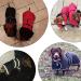 Shop Minezi Waterproof Dachshund Winter Jacket - Cozy Wool Lining & Adjustable Straps | Pink M (42-45cm) - International Shipping Available! - Buy Online on GoSupps.com