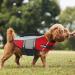 Alagirls Ripstop Dog Lifeguard Vest - High Buoyancy Safety Preserver for Large Dogs | Adjustable Pet Lifeguard Vest with Rescue Handle | Red (L: 58-68cm) - Buy Online on GoSupps.com