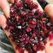 Crystal 100g Natural Rough rundum Stones and Minerals Reiki Crystal Ruby raw Gemstone Specimen for Making Jewelry (Size : 500g) - Buy Online on GoSupps.com