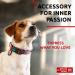 Buy Waudog Nylon Dog Collars - Adjustable & Stylish for All Sizes | Summer Collection 2023 - Buy Online on GoSupps.com