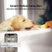 Pet Camera - 2K Indoor Security Camera  NGTeco Home Surveillance Cam with Motion Detection  Night Vision  Privacy Shield for Dog  Cat  Baby  Plug-in 3MP HD Small WiFi Cam Works with Alexa  Google 2K Mini Camera - Buy Online on GoSupps.com