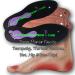 Love Your Feet Now Liquid Orthotic Inserts for Men/Women - Plantar Fasciitis & Neuropathy Relief - Buy Online on GoSupps.com