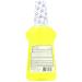Buy Cepacol Antibacterial Mouthwash Gold 24oz - International Shipping Available - Buy Online on GoSupps.com