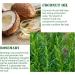 Rosemary Oil for Hair Growth & Skin Care - 60 ml | Strengthens, Nourishes Scalp, Improves Circulation - Unisex | Essential Oils for Hair Loss - Non Greasy, Light Weight - Buy Online on GoSupps.com