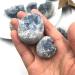 1kg/2.2LB Bulk Natural Blue Celestite Quartz Crystals Cluster Stones Home Room Decoration Druzy Geode Wholesale (Color : Celestite Chips Size : 1kg Bulk) - Buy Online on GoSupps.com