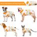 Kuoser Dog Recovery Suit for Male Dogs - Post-Op Body with Leakage Protection Breathable Anti-Licking Design - Orange L (1 Pack) - Buy Online on GoSupps.com
