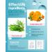 LitBear XL T-Zone Patch - 30 Patches, Hydrocolloid for Nose, Forehead, Chin, Pimple, with Tea Tree & Calendula Oil - Buy Online on GoSupps.com