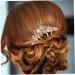 Beatifufu Hair Comb Bride Hair Accessories Hair Side Comb Rhinestone Clips Rhinestone Hair Clips Hair Accessories for Women Rhinestone Side Comb Tiara Metal Hair Piece Women's Korean Version - Buy Online on GoSupps.com