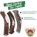 Deer Valley Dog Chews (Large Single 6-7 Inches Long) Ideal for Dogs Over 45 lbs - High Grade Naturally Shed Deer Antler for Aggressive Chewers (Jouet Pour Chien) - Buy Online on GoSupps.com
