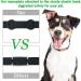 Custom Stainless Steel Slide-On Pet ID Tag - Personalized Engraved Dog Tag for Small Dogs (Black) - Buy Online on GoSupps.com