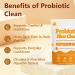 oviaapo Clean Prebiotic Fiber Gummies for Adults Sugar-Free Pre + Probiotic Clean Fiber Gummies for Digestive Gut Health Men Prebiotic Supplement Juicy Peach Flavor Non-GMO 60 Gummies (1) - Buy Online on GoSupps.com