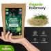 Huggiberries Organic Rosemary Leaves-Spice 3.5 OZ (100g) - Pure High Aromatic Flavor for Meat, Vegetables & Soup | USDA Approved, GMO & Gluten Free, Raw Vegan - Immunity Boosting & Wellness Support - Buy Online on GoSupps.com