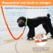 X Xben Waterproof Tow Lines for Dogs - 3m Rubberized Leash with Lockable Carabiner Robust Training Line for Small & Medium Dogs - Neon Orange - Buy Online on GoSupps.com