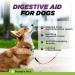 Digestive Aid for Dogs | Soothing & Anti-Inflammatory Blend with Dandelion Slippery Elm & Marshmallow Root for Optimal Gastrointestinal Health - Buy Online on GoSupps.com