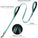 Vivaglory Traffic Handle Dog Leash - 1.2m Reflective Leash with 2 Padded Handles & Metal Hook for Training - Turquoise - Buy Online on GoSupps.com