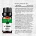 Cypress Essential Oil 100% Pure | Therapeutic Grade Aromatherapy Oil for Diffuser | 10ML - International Shipping Available - Buy Online on GoSupps.com