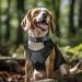 Joytale Reflective Dog Collar for Small Dogs - Grey Size S (Pack of 1) | Best International Shipping - Buy Online on GoSupps.com