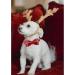 Shop Lionheart Glory Christmas Checkered Dog Collar - Adjustable & Comfortable Bowtie for Small Dogs - Perfect Holiday Gift (1 Pack) - Buy Online on GoSupps.com