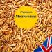 UK GROW 5L Premium Dried Mealworms - High-Quality 5 Litre Pack - Buy Online on GoSupps.com