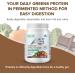Active Green Pro - Fermented Proteins & Greens - Plant Based Organic Vegan Protein for your improved gut health 20g Protein Sugar Free Low Fats and Carbs Yummy Natural Chocolate Flavour 520g - Buy Online on GoSupps.com
