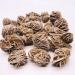 Natural Rough Crystal Specimen Raw Desert Rose Stone for Decoration 3pc Natural Luster - Buy Online on GoSupps.com