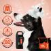 GROOM PROFESSIONAL Coat Revitalise Dog Conditioner 4L - Adds Shine and Body - For Dry & Dull Coat - Renewing Formula - Buy Online on GoSupps.com