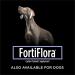 Purina Fortiflora Probiotic Cat Supplement 1.06 oz - Pro Plan Veterinary Supplements | Cat Probiotic Powder - Buy Online on GoSupps.com