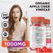 Anatomy One Keto Gummies with Apple Cider Vinegar - Advanced Weight Loss Supplement (60 Gummies) - Buy Online on GoSupps.com
