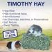 Grandpa's Best Timothy Hay Bale 10lb - Premium Quality for Small Pets - Buy Online on GoSupps.com