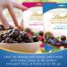 Lindt FRUIT SENSATION Chocolat noir myrtille et a a pochette 150 g - Buy Online on GoSupps.com