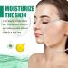Nettoyant Visage - Nettoyage En Profondeur Des Pores Contr le Du S bum Hydratant Et Non Raffermissant Nettoyant Visage Hydratant For Une Peau Douce(3PCS) - Buy Online on GoSupps.com