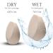 Nanshy Drop of Finesse Make up Blending Sponge for Foundation - Latex-Free - Non-Allergenic - Reusable - For Liquid Cream Powder Foundation Concealer Nude - Buy Online on GoSupps.com