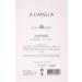 a Capella Edp 100Ml - Buy Online on GoSupps.com