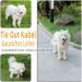 Mi Metty Tie-Out Linen for Dogs | Durable 15m Dog Line & Tie Out Cable for Medium to Large Dogs | Kauspecy Black Dog Leash for Farms & Outdoors - Buy Online on GoSupps.com