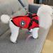 Warm Dog Winter Coat - Padded Jacket for Small Dogs & Cats | Outdoor Cold Weather Apparel in Size L Red - Buy Online on GoSupps.com
