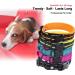 PETTOM Adjustable Nylon Dog Collar Breathable Reflective Design for Comfort & Safety | Size M (Orange) - Ideal for International Shipping - Buy Online on GoSupps.com