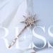 Inilbran Hairpin Clip Boho Crystal Star Hair Clip Hair Clip Gold Rhinestone Hair Pin Decorative Hair Pin Cz Star Head Clip Shiny Bridal Hair Accessories for Her (Large) - Buy Online on GoSupps.com