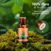 AMMIY Essential Oils Gift Set - 6*10ml Aromatherapy Diffuser Oils with Lavender, Gardenia, Cherry Blossom, Eucalyptus, Tea Tree, Peppermint, and Orange - Natural Fragrance Set - Buy Online on GoSupps.com
